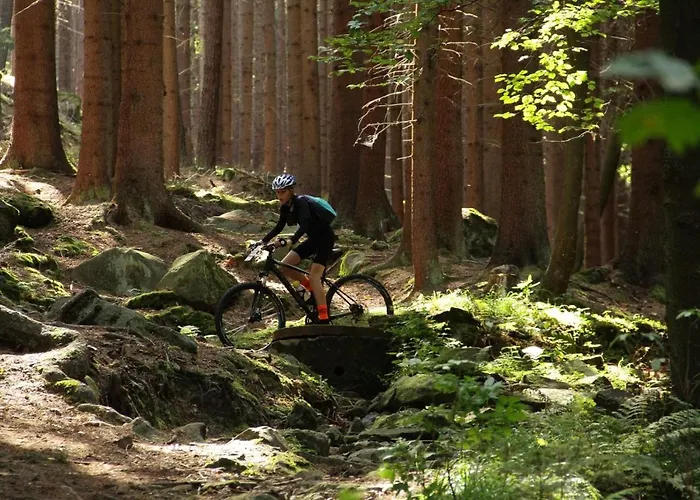 3 Kroki Do Lasu Villa *