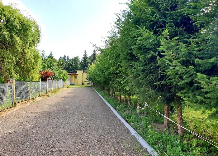 3 Kroki Do Lasu Polanica-Zdroj